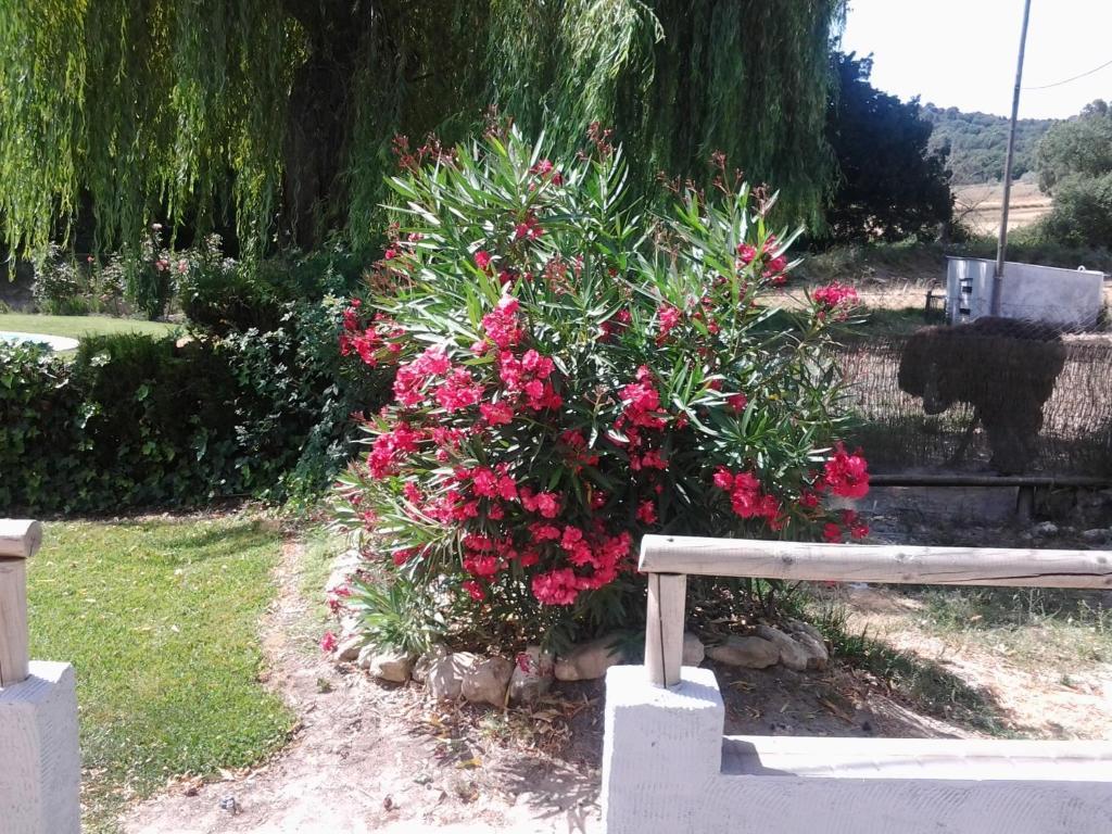 Hostal Rural Venta La Vega Ronda Exteriér fotografie